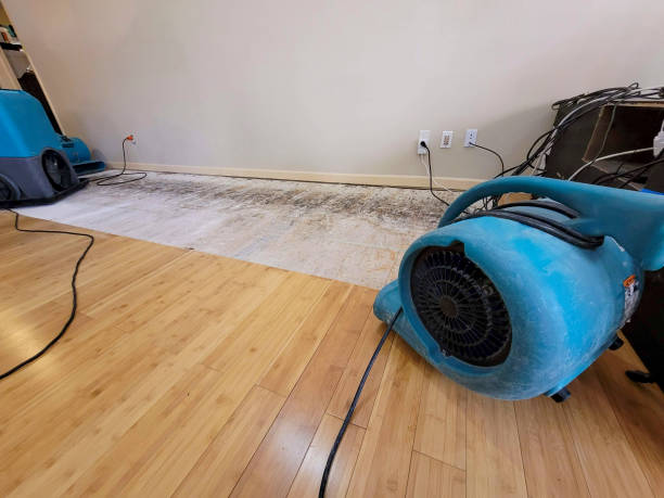 Professional Ceiling Water Damage Repair technician working in Erving, MA